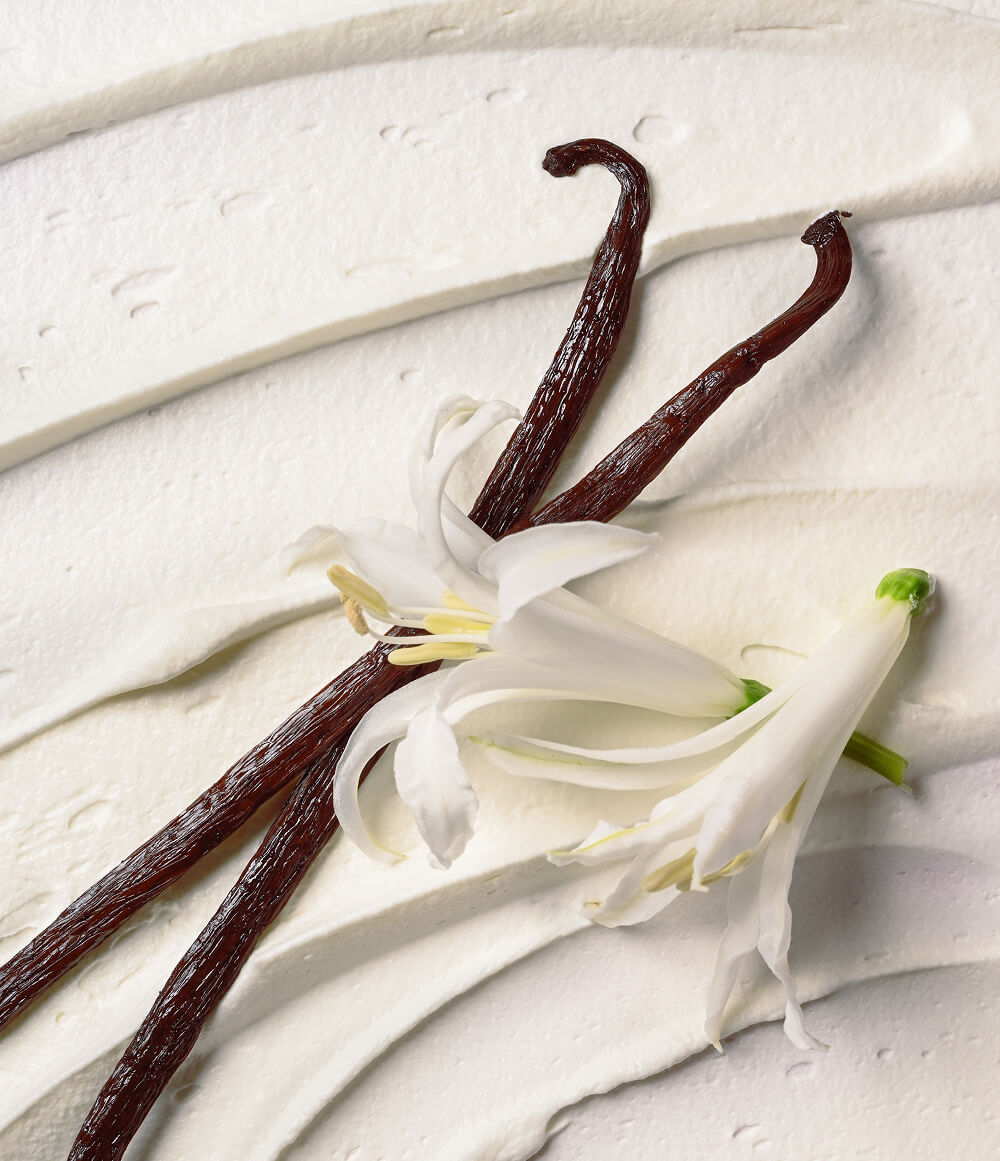 Vanilla Cashmere Skincare Bundle